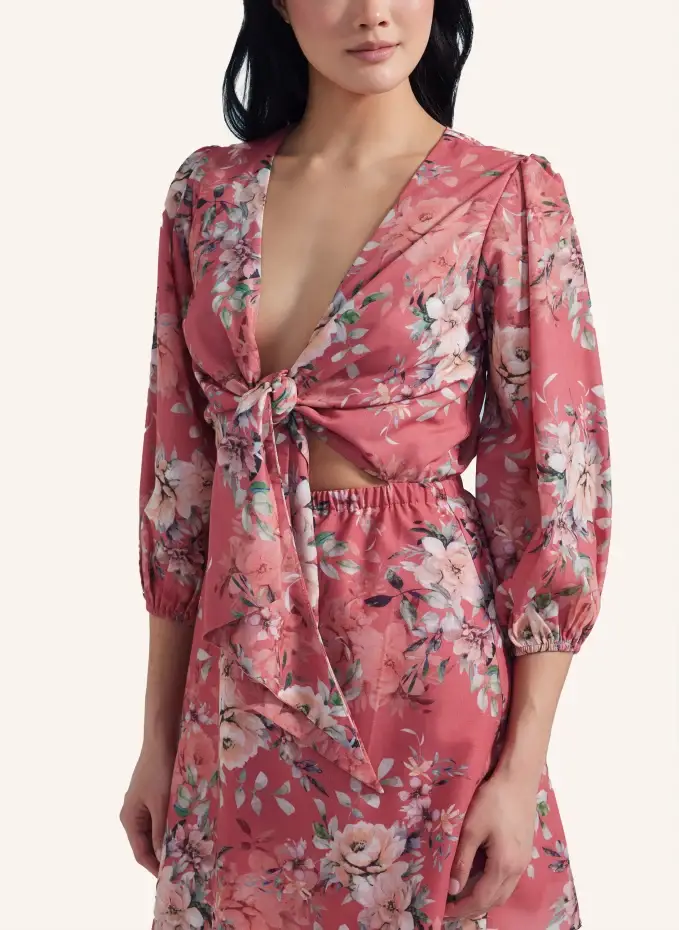 ADLYSH Abendkleid SUMMER PEONY DRESS Exklusive Angebote